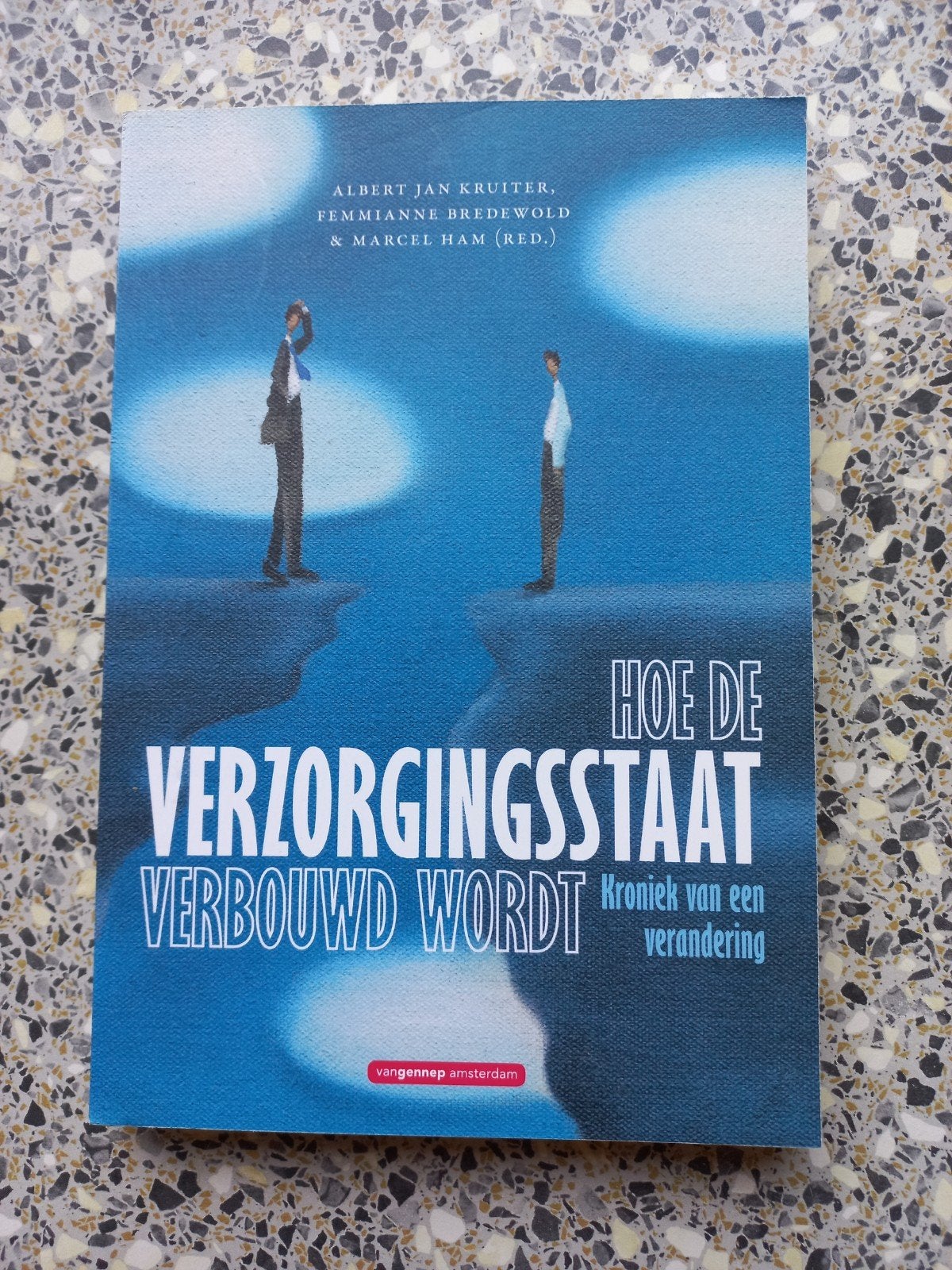 Hoe de verzorgingsstaat verbouwd wordt, Boeken, Ophalen of Verzenden, Zo goed als nieuw, Nederland