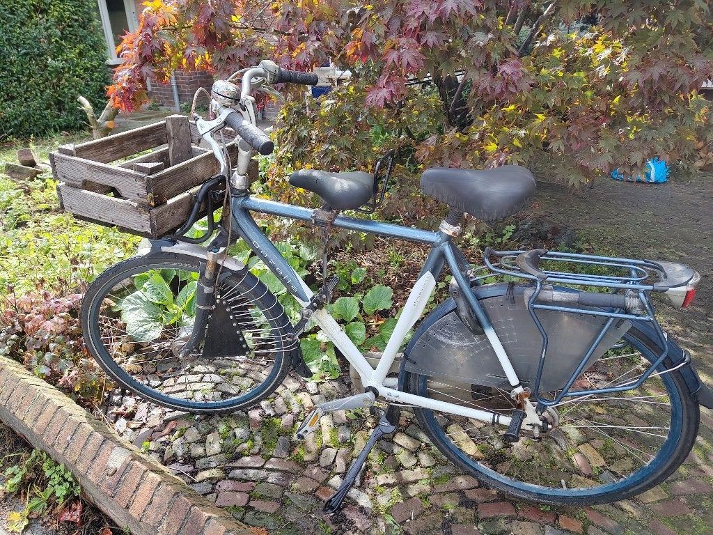 Gazelle Montreux Limited 28 inch – compleet met accessoires, Ophalen, Gebruikt, Trommelrem, Gazelle