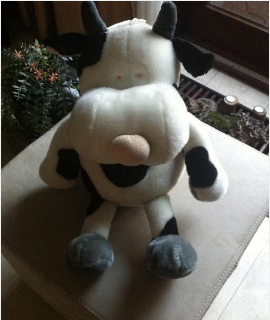 Knuffel koe Lengte 50 cm zwart/wit, Ophalen, Zo goed als nieuw, Koe, Middelgroot (20 tot 80 cm)