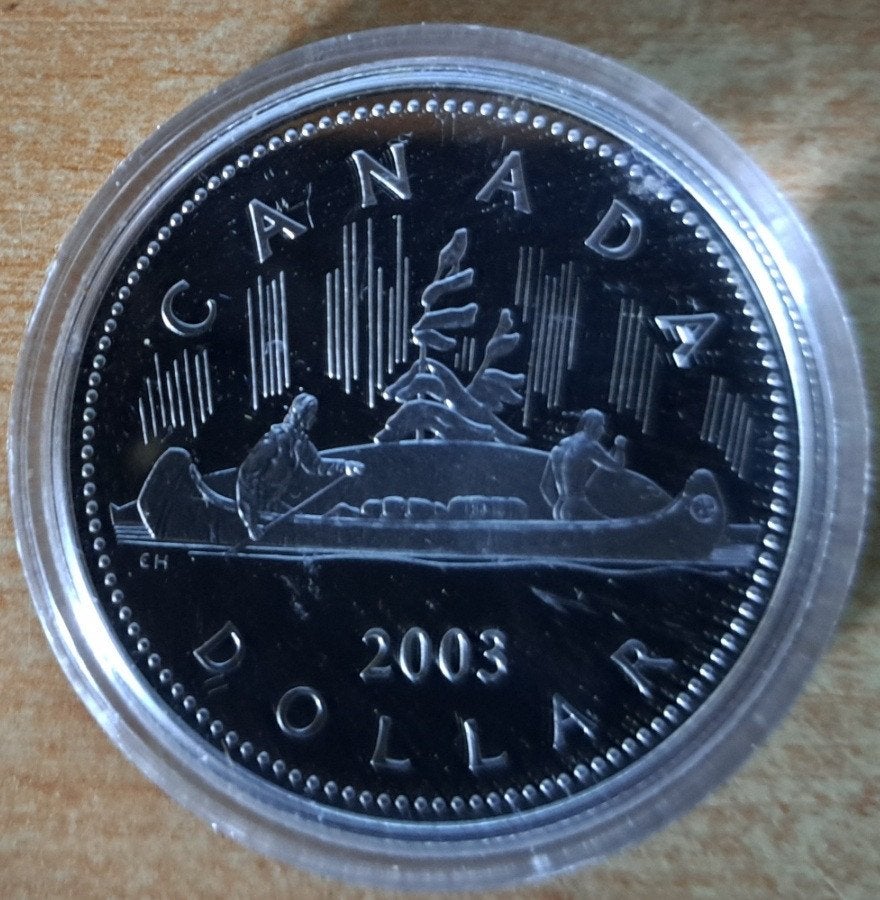 Canada, 1 Dollar 2003 - zilver Proof, Ophalen of Verzenden, Noord-Amerika, Losse munt, Zilver
