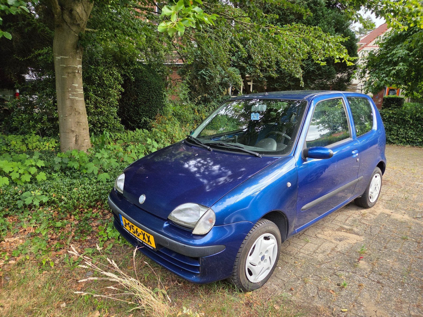 Fiat Seicento 1.1 2003 Blauw, Auto's, Fiat, Voorwielaandrijving, Blauw, 400 kg, Handgeschakeld