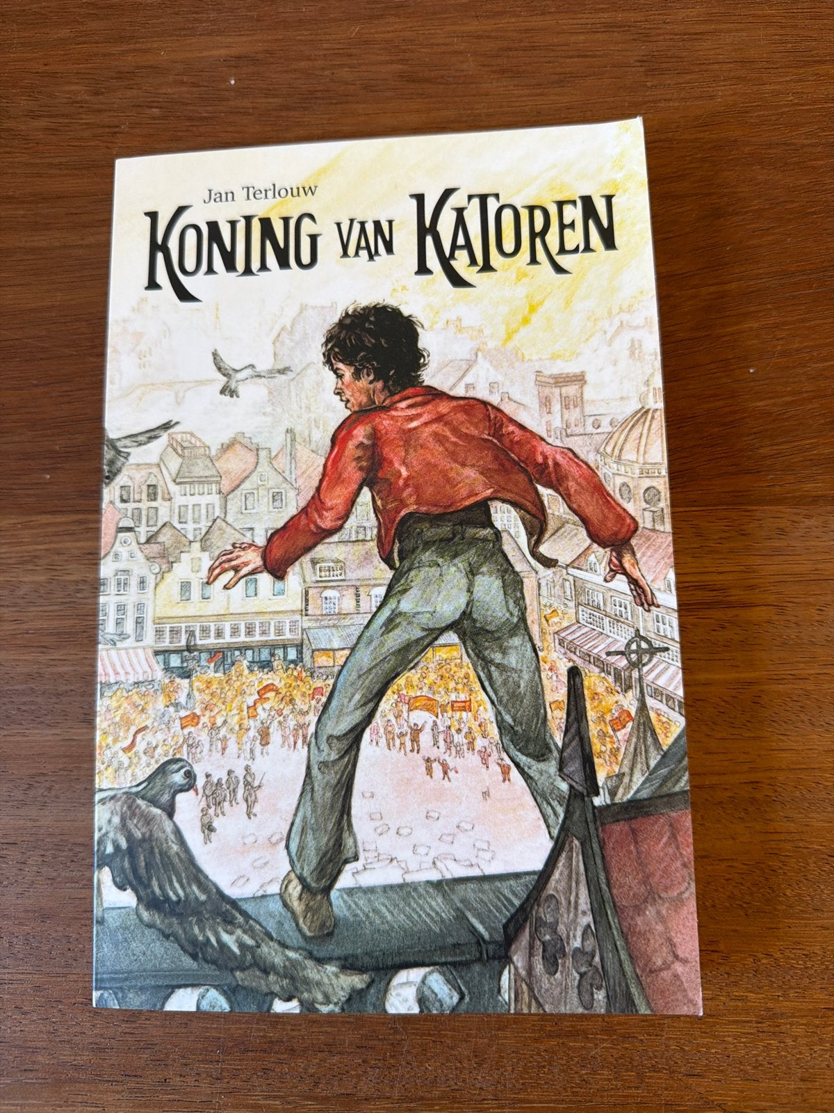 Koning van Katoren - Jan Terlouw (Jeugdliteratuur), Ophalen of Verzenden, Zo goed als nieuw, Fictie algemeen