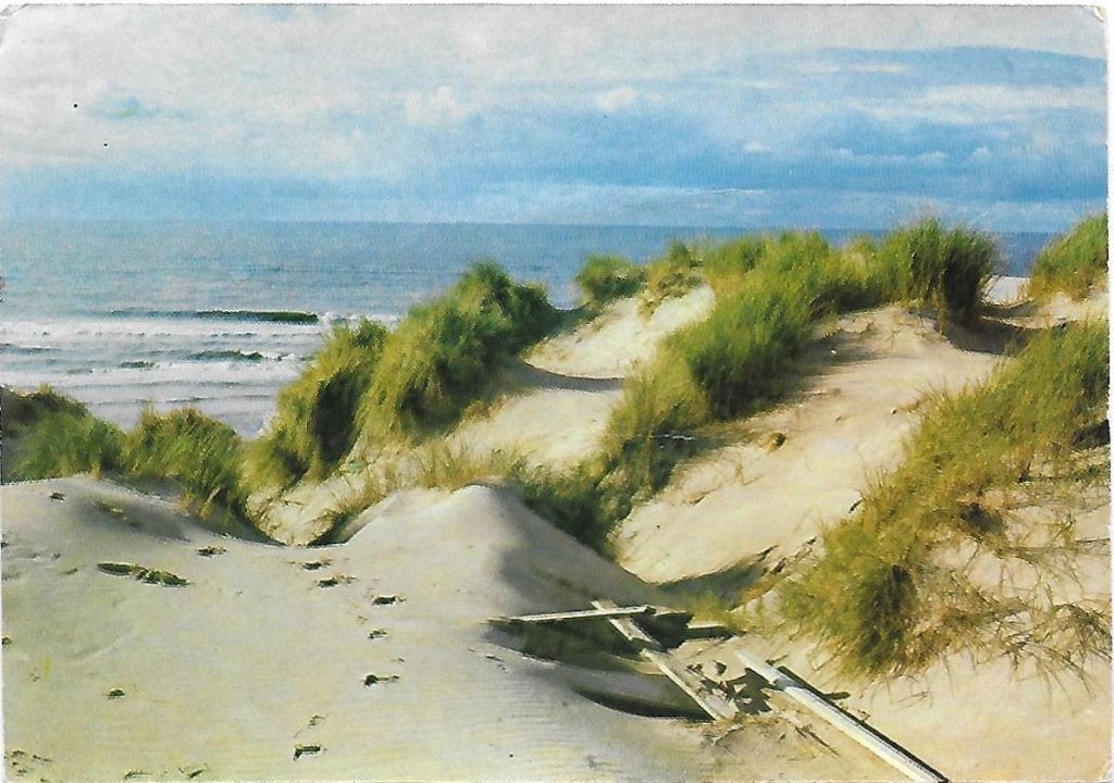 Terschelling Gelopen Ansichtkaart ( 885 ), Ophalen of Verzenden, 1980 tot heden, Gelopen, Waddeneilanden