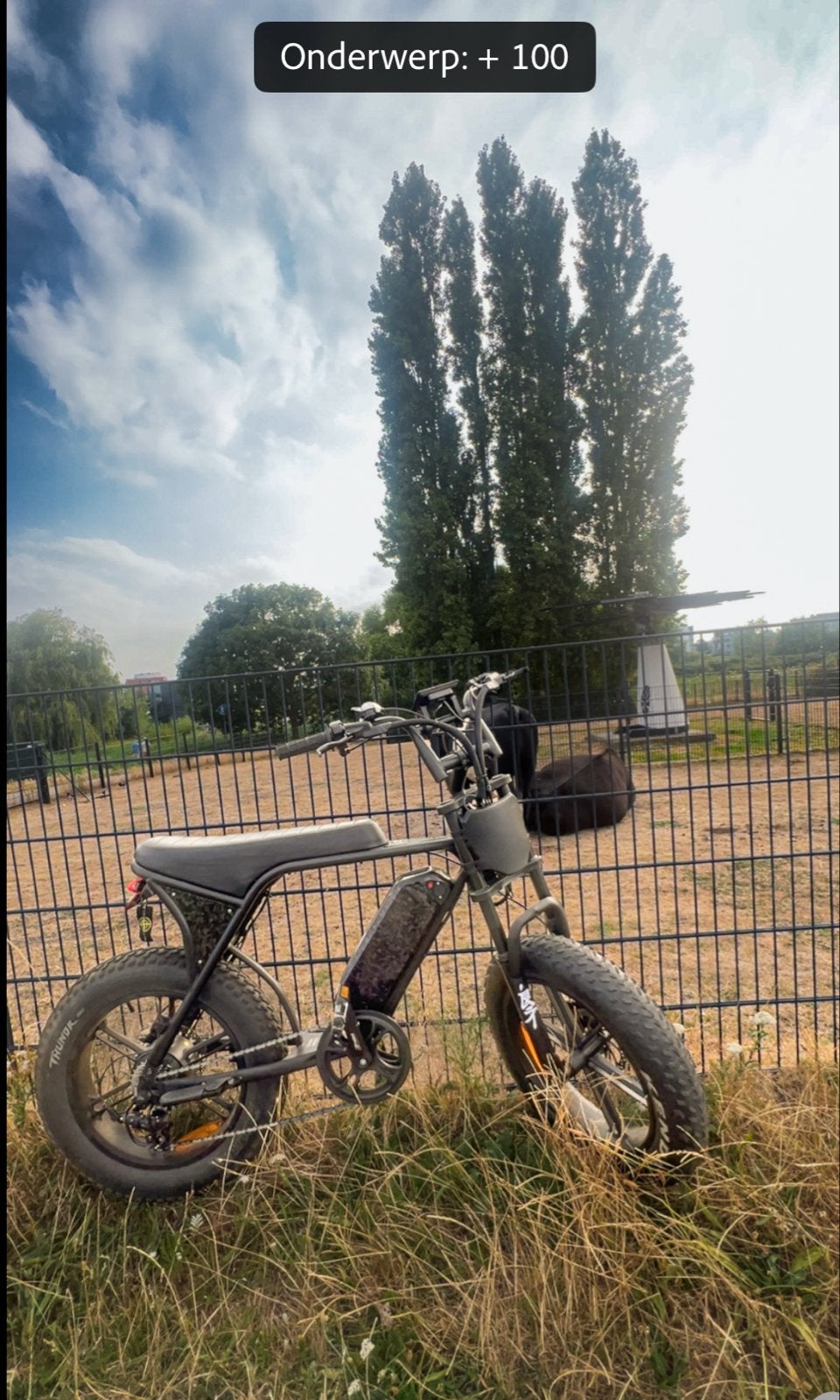 V8 Custom 1KW Peak E-bike, Fietsen en Brommers, Elektrische fietsen, Zo goed als nieuw, 59 cm of meer, 50 km per accu of meer