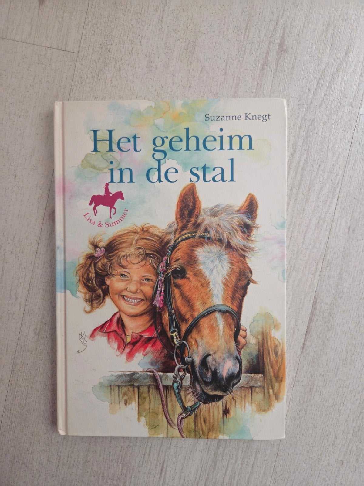 Het geheim in de stal - Lisa & Summer ponyboek, Boeken, Verzenden, Gelezen, Suzanne Knegt, Fictie algemeen