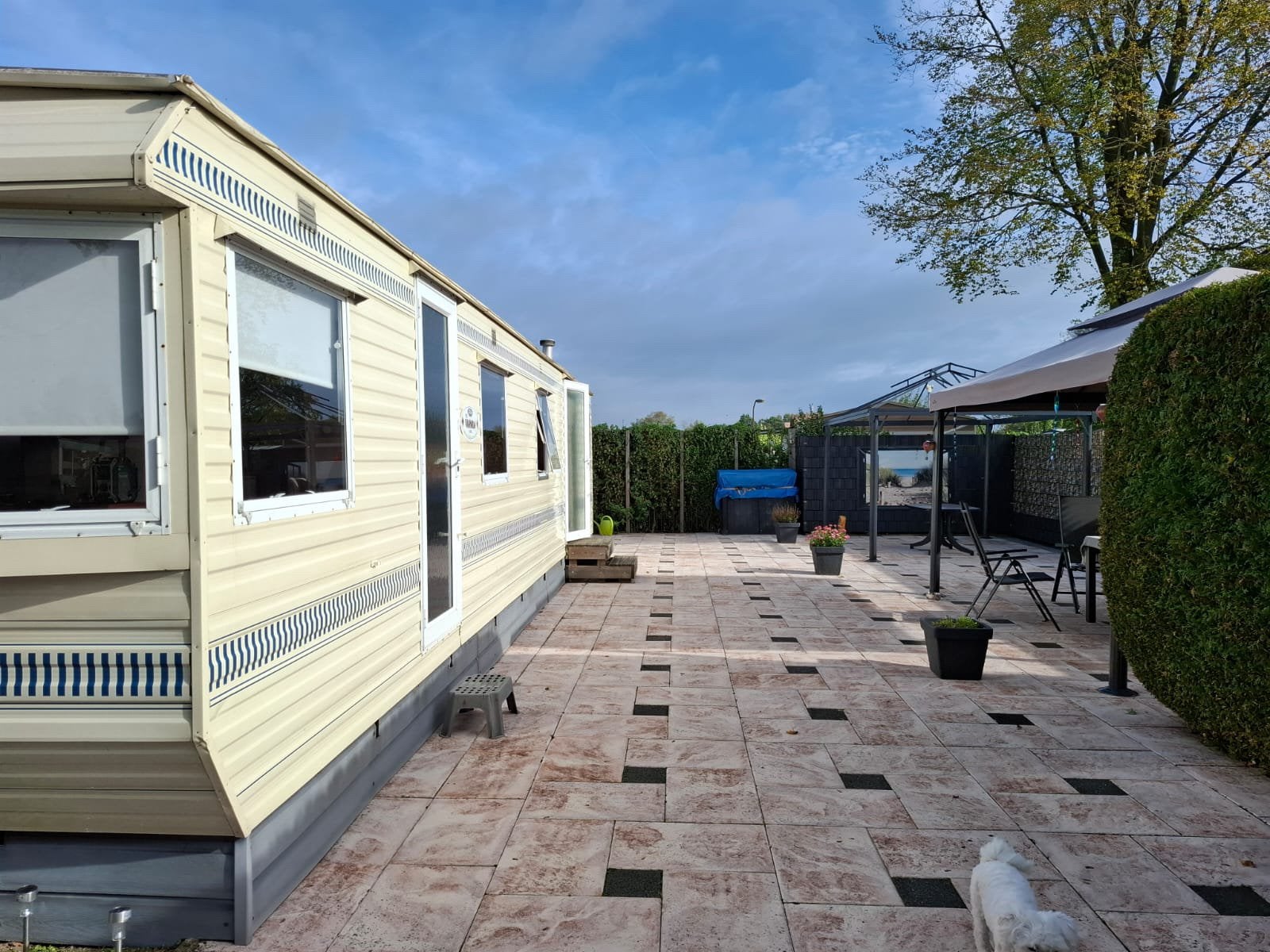 Stacaravan Willerby Granada te koop., Caravans en Kamperen, Tot en met 4
