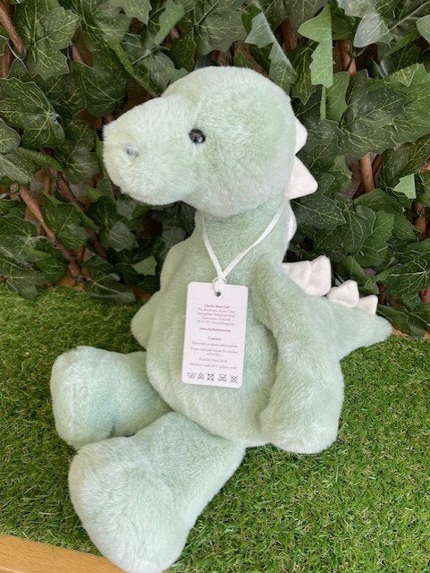Charlie Bears Bear and Me Stevie Stegosaurus, 41cm., Overige merken, Headbear@charliebears.com, Ophalen of Verzenden, Stoffen beer