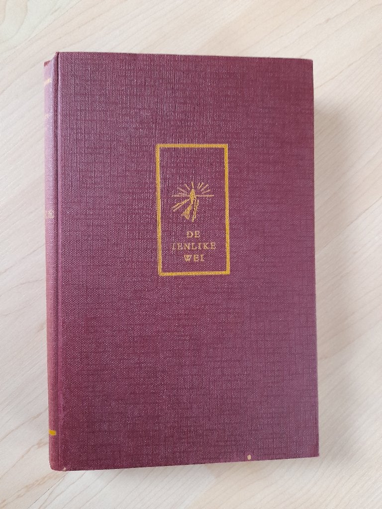 DE IENLIKE WEI    G Lootsma-Smidstra friestalig, Ophalen of Verzenden, Gelezen, Nederland
