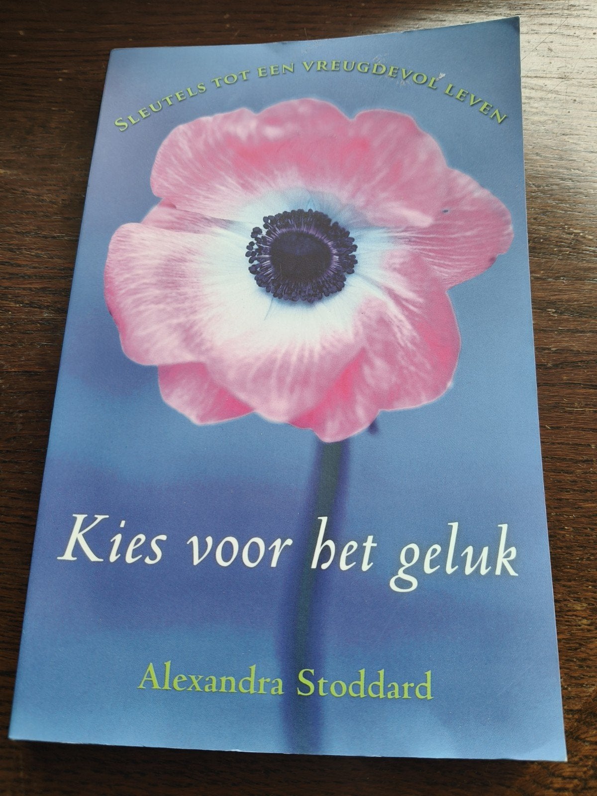 Kies voor het geluk - Sleutels tot een vreugdevol leven, Boeken, Alexandra Stoddard, Achtergrond en Informatie, Spiritualiteit algemeen