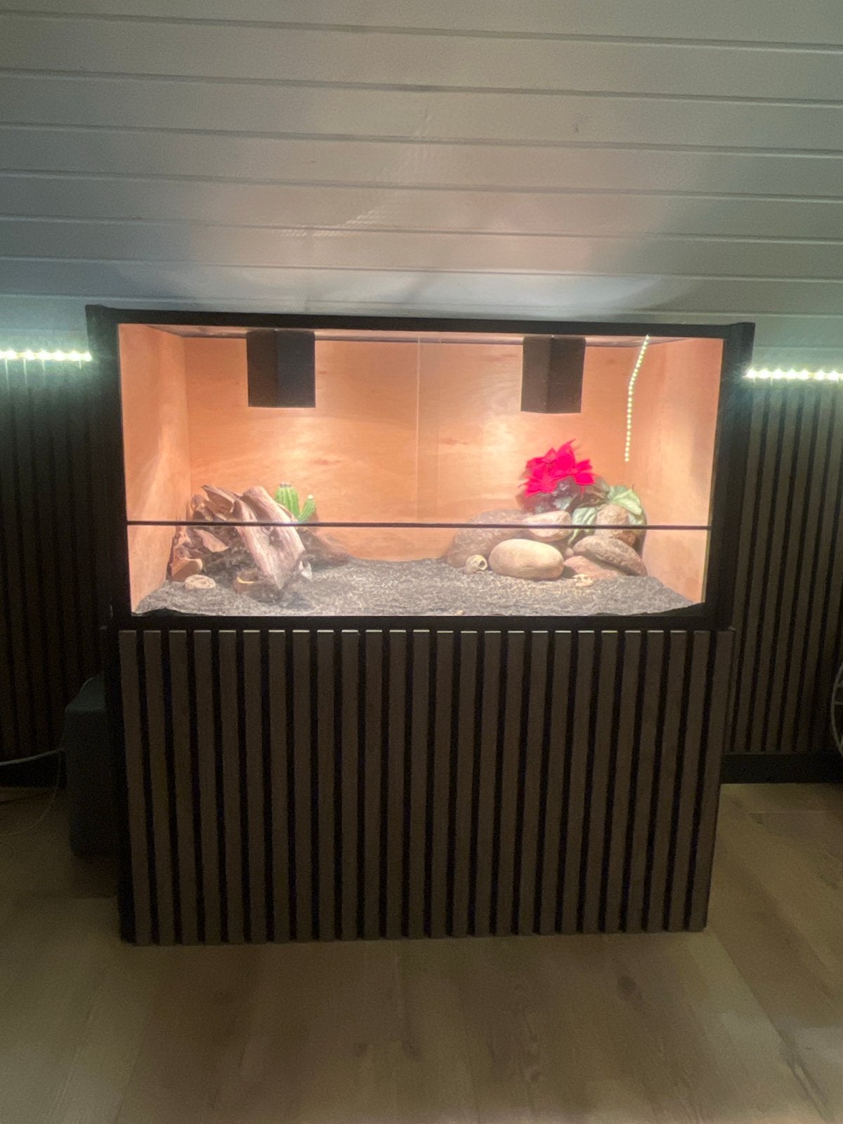 Terrarium voor baardagaam, Dieren en Toebehoren, Ophalen of Verzenden, Gebruikt