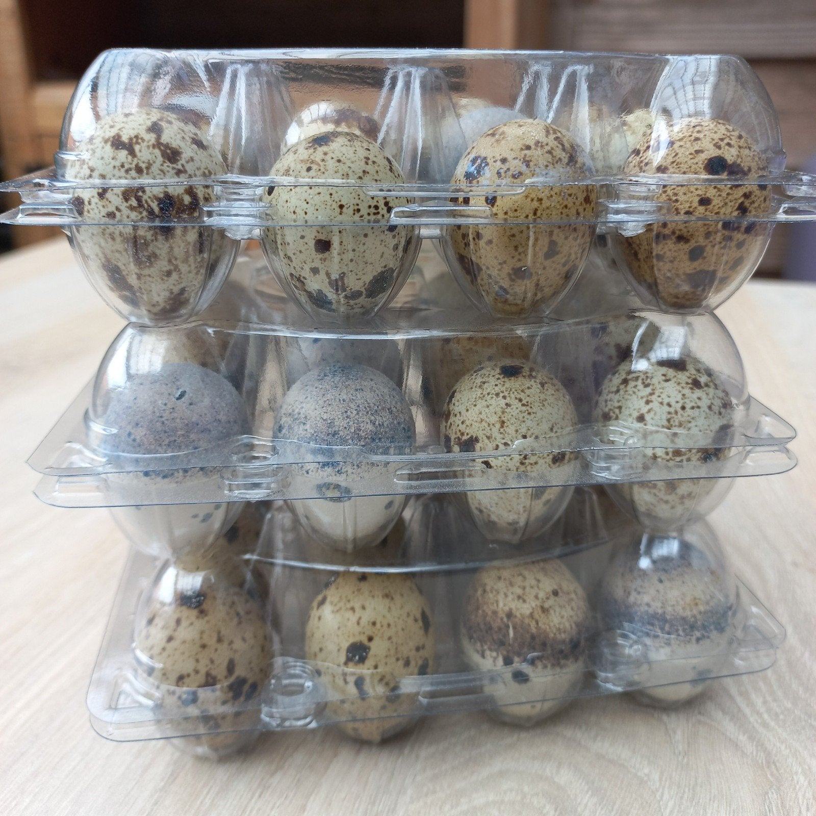 Heerlijke Japanse kwartel eitjes, Dieren en Toebehoren, Geslacht onbekend, Overige soorten