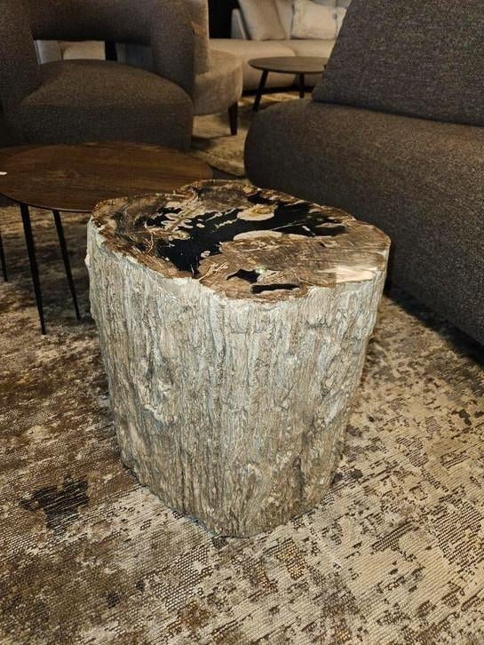 Salontafel bijzettafel versteend hout patrified wood