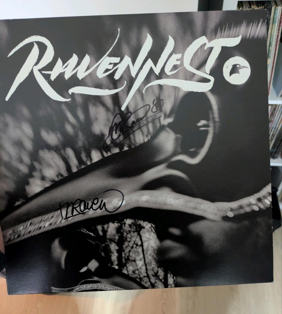 Ravennest (hiphop) LP Vinyl - Goede Staat, Ophalen of Verzenden, Gebruikt, 12 inch