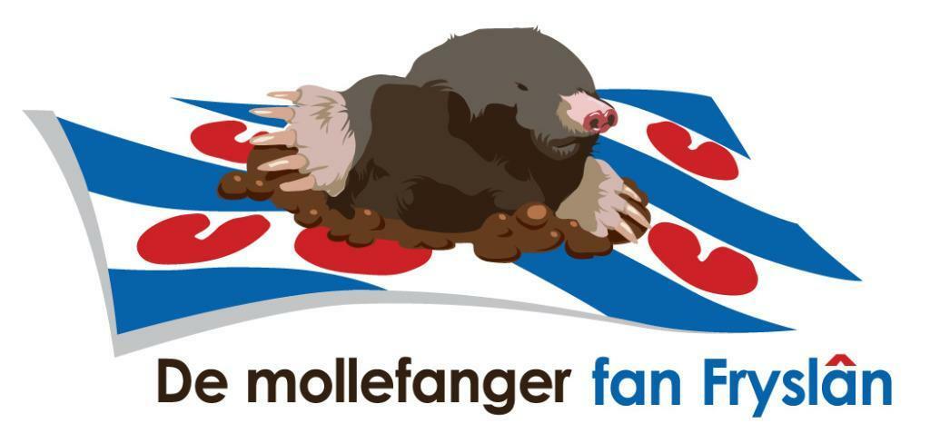 Mollenvanger (De mollefanger fan Fryslân), Diensten en Vakmensen