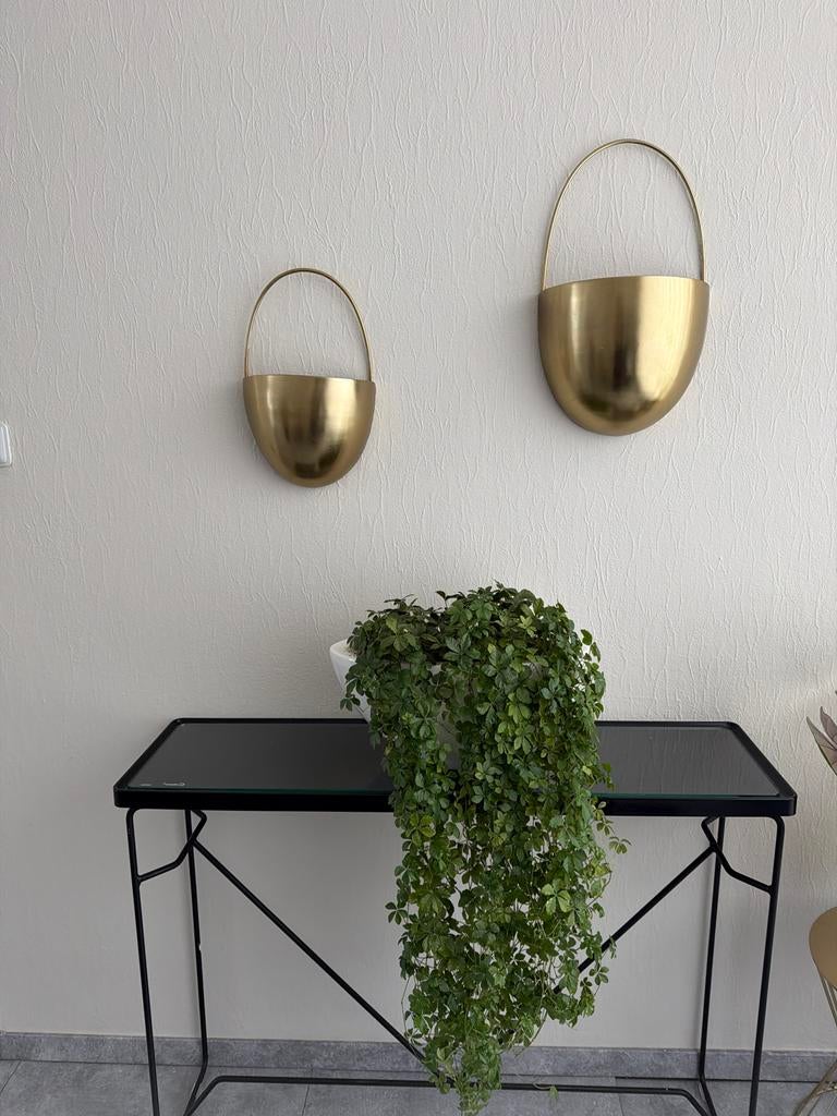 Gouden Wanddecoratie Bloempotten Set, Ophalen of Verzenden, Zo goed als nieuw