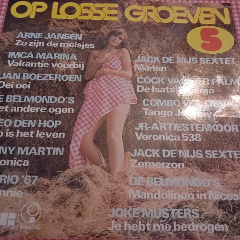 Lp op losse groeven, Cd's en Dvd's, Vinyl | Nederlandstalig, Ophalen of Verzenden, Zo goed als nieuw, 12 inch, Levenslied of Smartlap