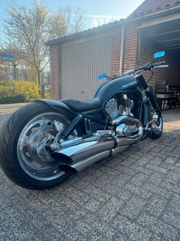 Harley davidson v rod, Motoren, Motoren | Harley-Davidson, Particulier, Chopper