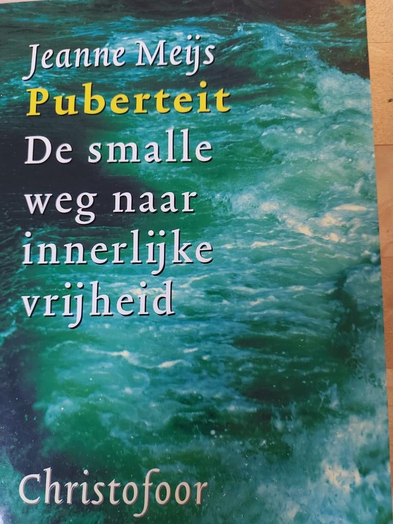 Puberteit: De smalle weg naar innerlijke vrijheid, Boeken, Ophalen of Verzenden, Zwangerschap en Bevalling