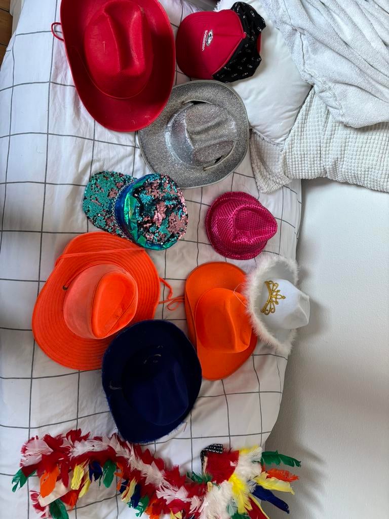 10 verschillende hoedjes en petten, Ophalen of Verzenden, Zo goed als nieuw, Carnaval