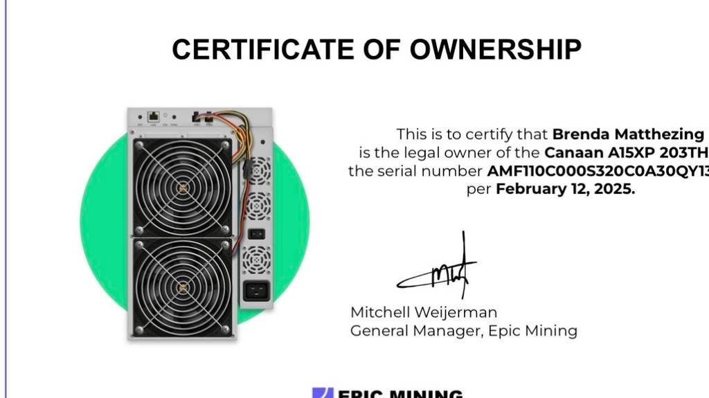 Bitcoin Mining Machine - Canaan A15XP 203TH, Ophalen of Verzenden, Gebruikt, Onbekend