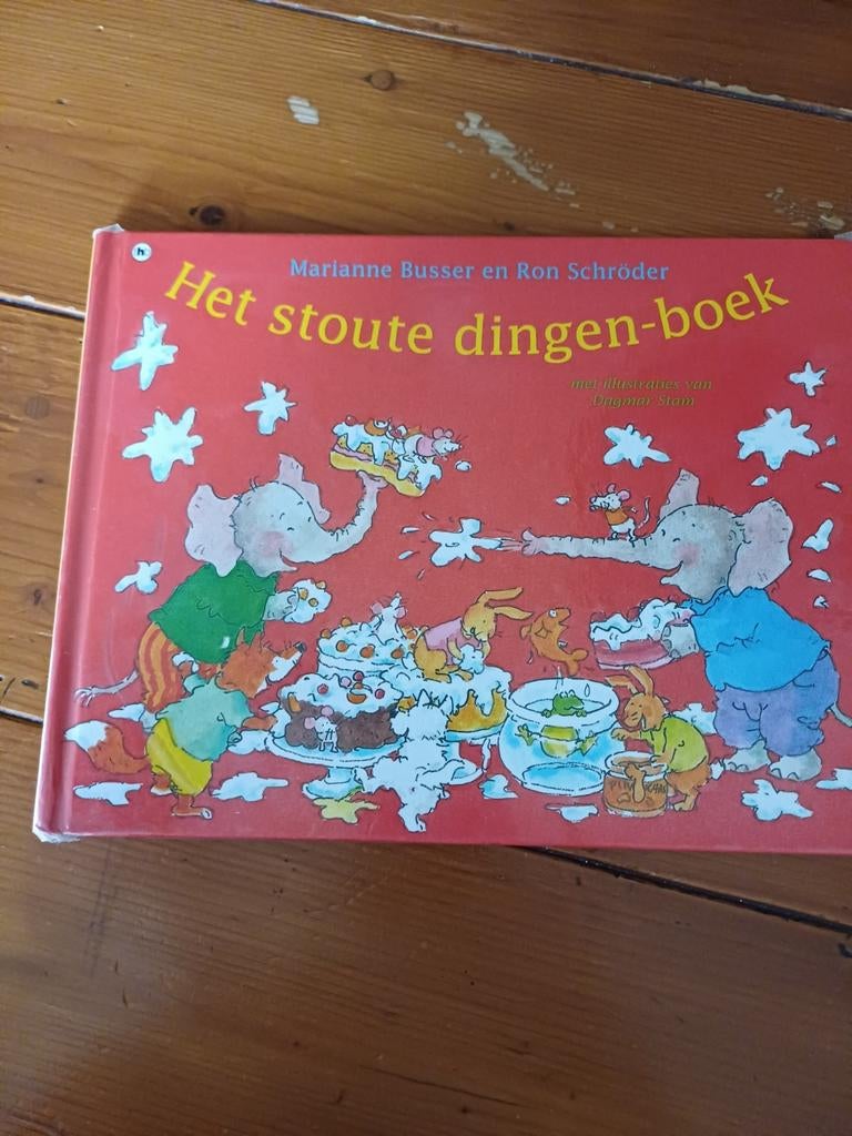 Het stoute dingen-boek M Busser/R Schroder, Ophalen of Verzenden, Gelezen, Fictie algemeen