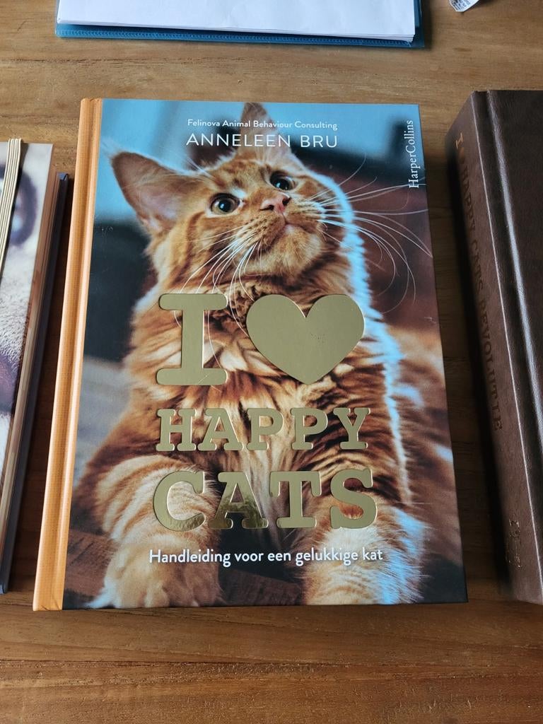 I ️ Happy Cats - Handleiding voor de gelukkige kat, Ophalen of Verzenden, Nieuw, Katten, Anneleen Bru