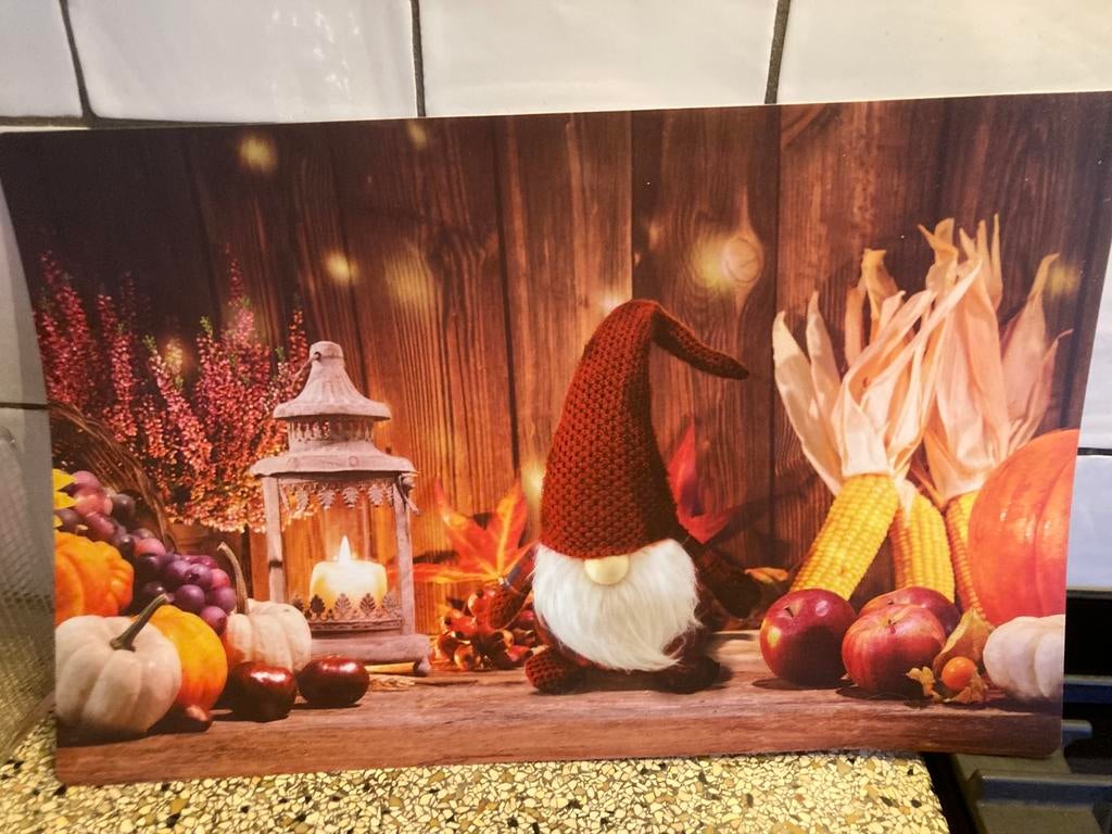 Leuke placemat, Ophalen of Verzenden