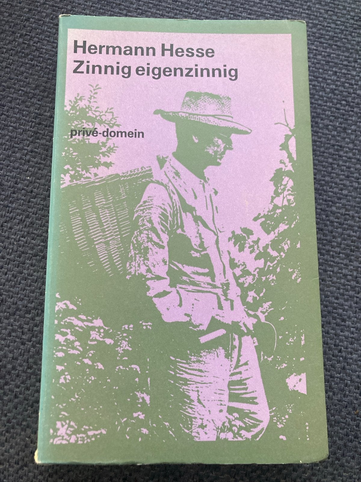 6 x privé-domein boeken: Hesse Klaus Mann Flaubert Sagan en, Boeken, Ophalen of Verzenden, Gelezen, Europa overig