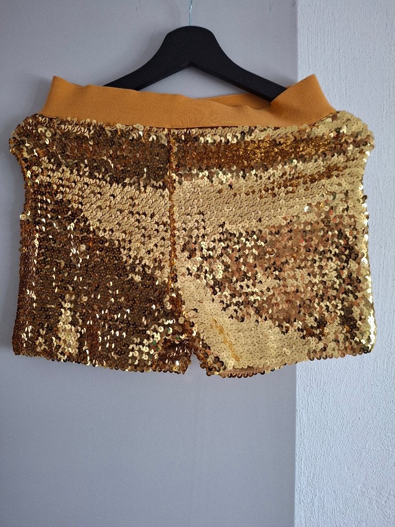 Glitter broekje, Maat 38/40 (M), Carnaval, Ophalen of Verzenden, Zo goed als nieuw