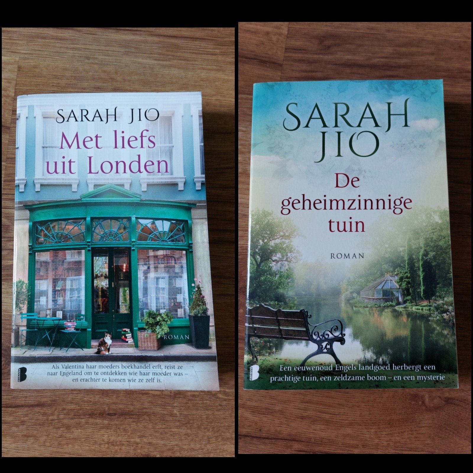 Romans van Sarah Jio • o.a. De geheimzinnige tuin, Boeken, Ophalen of Verzenden, Zo goed als nieuw, Sarah Jio