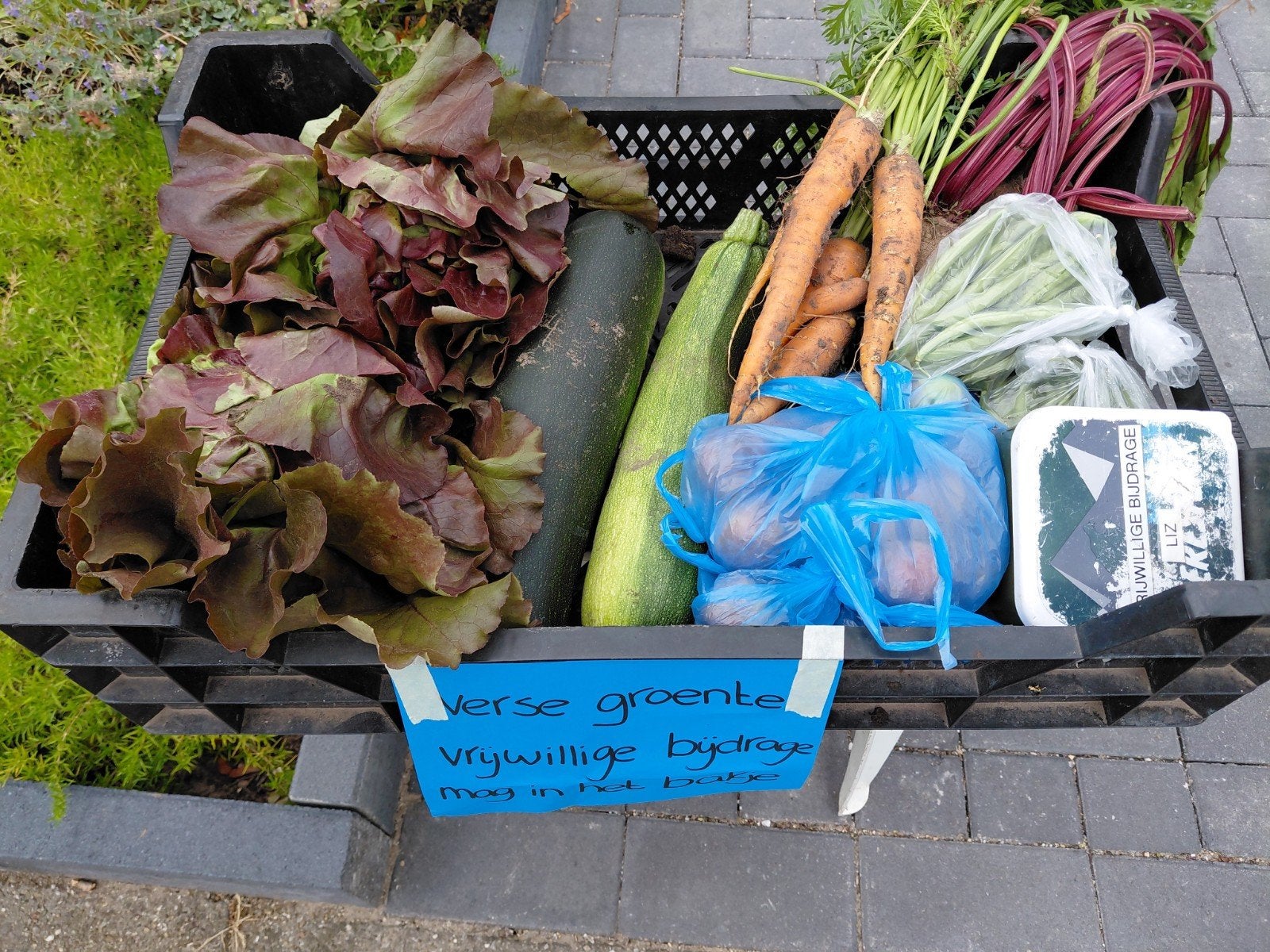 Verse groenten: pruimen, courgette, wortels, bonen en rode b, Ophalen