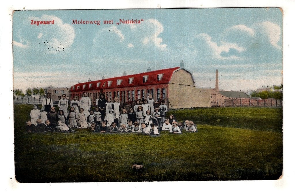 Zegwaard Molenweg   Nutricia, Verzamelen, Ansichtkaarten | Nederland, Verzenden, Voor 1920, Ongelopen, Zuid-Holland