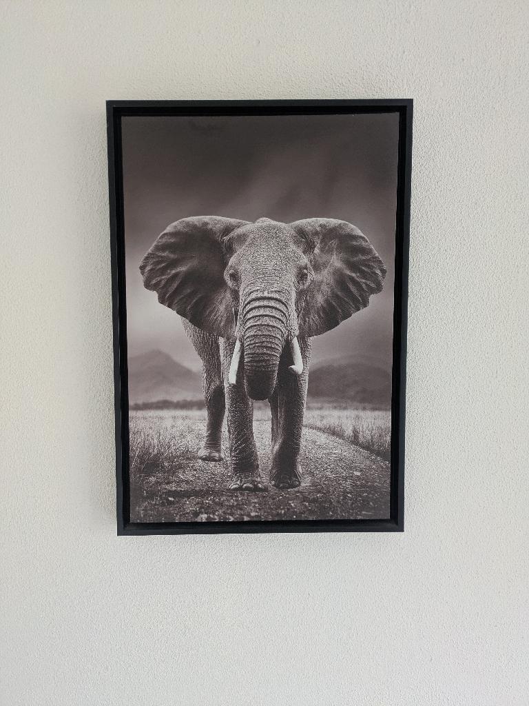 Olifant en poema canvalijsten, Ophalen, Gebruikt, 44 cm, Decoratieobject