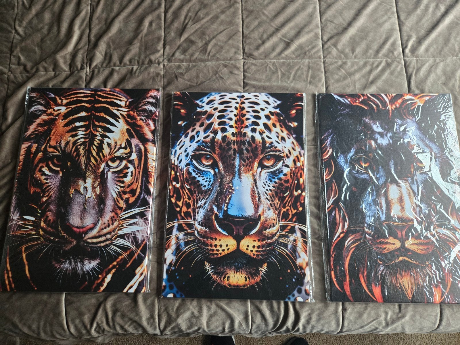 Set van 3 Dierenprints: Tijger, Luipaard en Leeuw, 50 – 75, Nieuw, Ophalen of Verzenden, Print