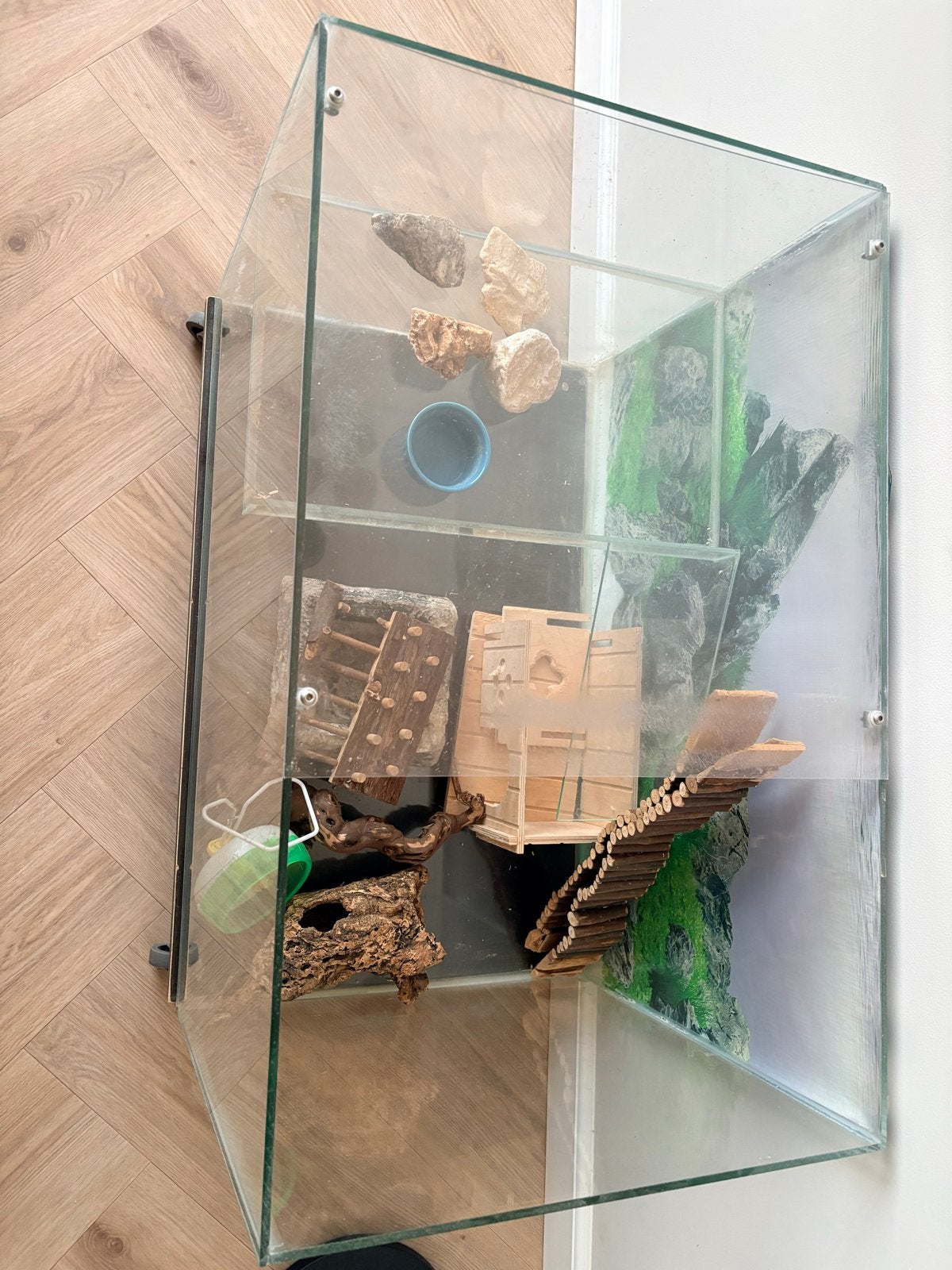 Glazenbak voor  hamster of andere dieren, Ophalen of Verzenden