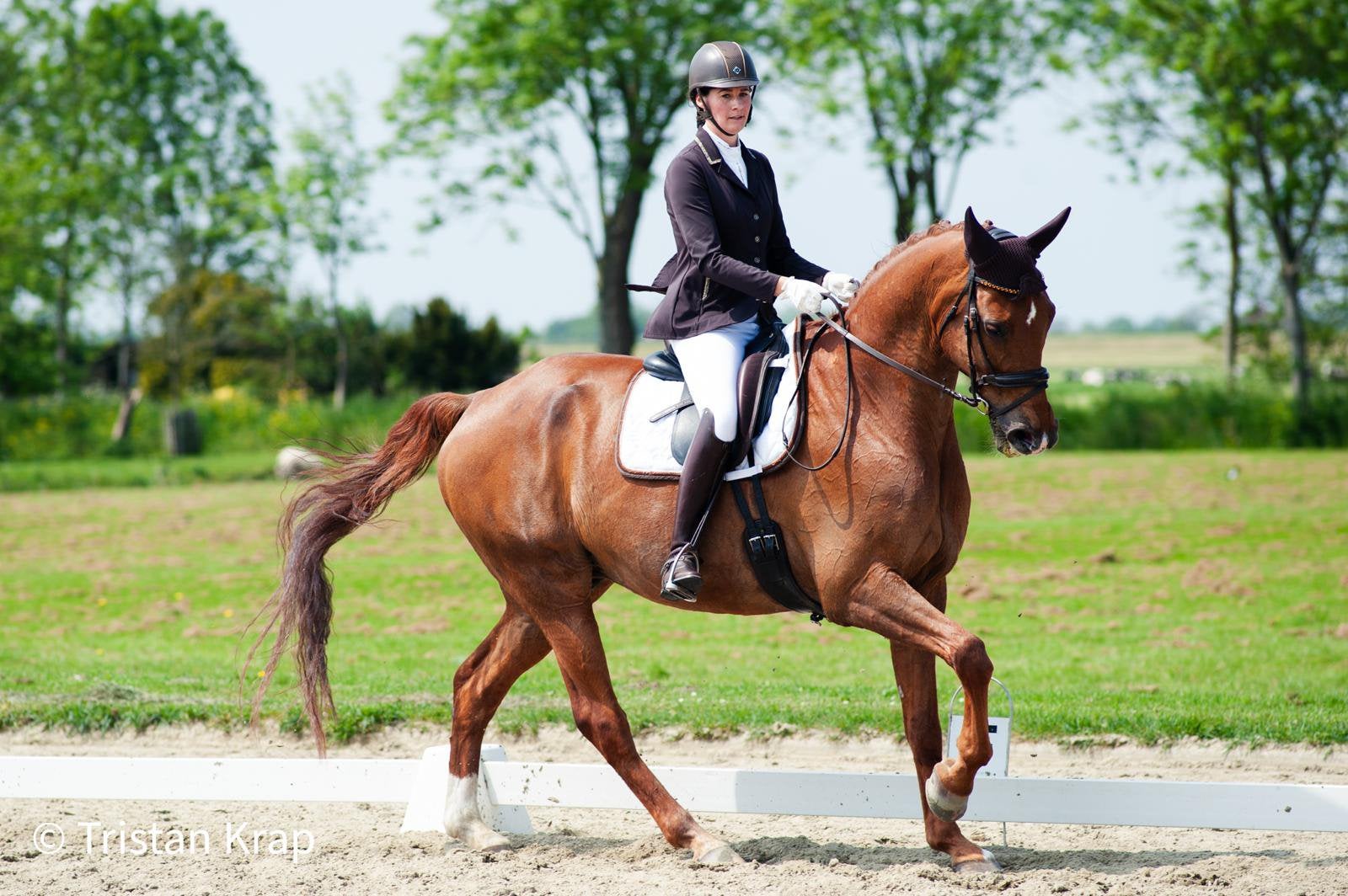 Huur woning gezocht met bedrijfsruimte/ paarden stallen.