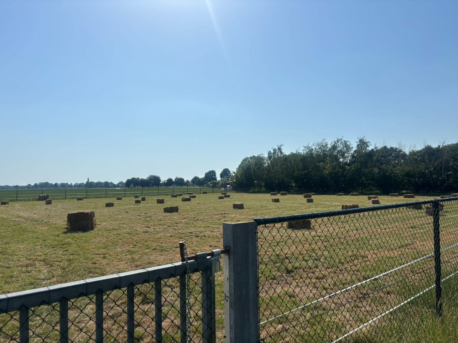 Kleine pakjes hooi, Dieren en Toebehoren, Stalling en Weidegang
