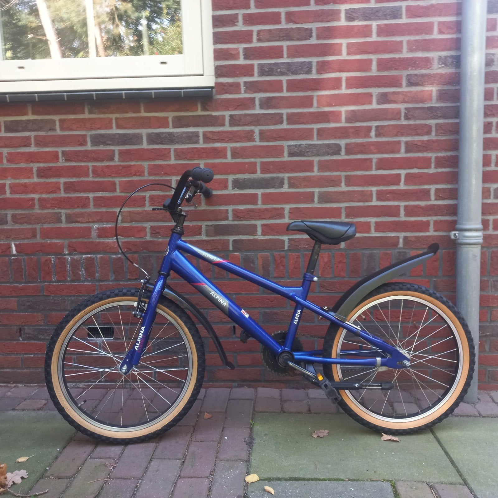 mooie rijklare ZGAN bmx alpina comet crossfiets 20 inch., Fietsen en Brommers, Ophalen, Terugtraprem, Alpina comet, Aluminium