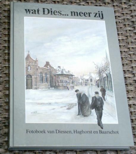 Fotoboek van Diessen, Haghorst en Baarschot. Gust de Vries., Ophalen of Verzenden, Zo goed als nieuw
