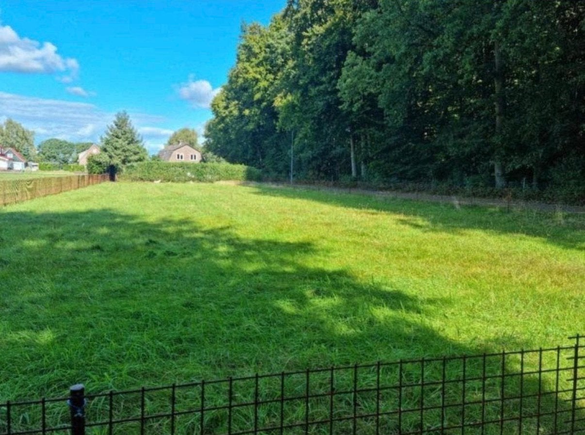 Gezocht/gevraagd weide gang voor ponys.  Winterswijk