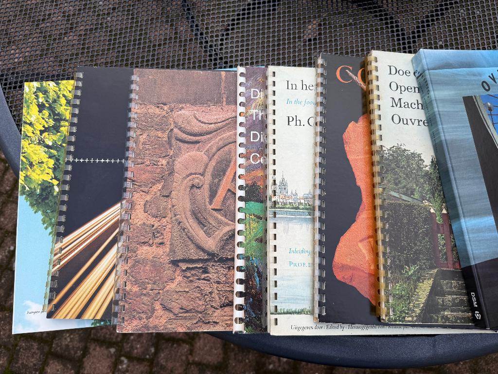 DSM Kalenders - boeken diverse ook per stuk te koop, Ophalen, Gelezen, Europa