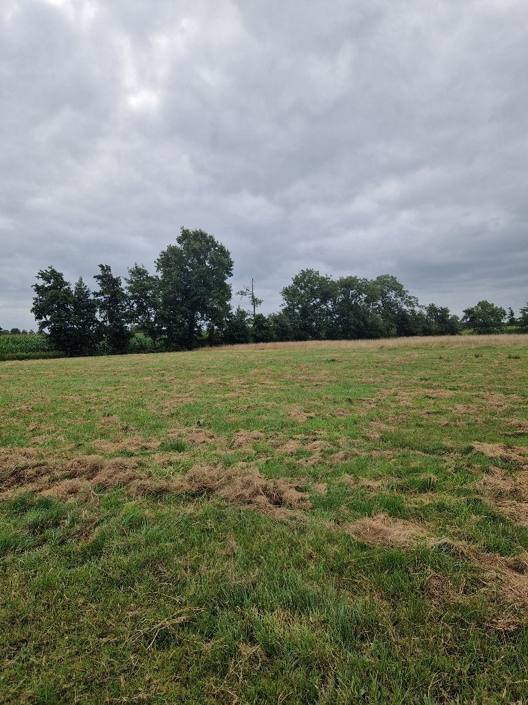Gezocht: iemand die hooi van ons land kan halen, Dieren en Toebehoren, Stalling en Weidegang