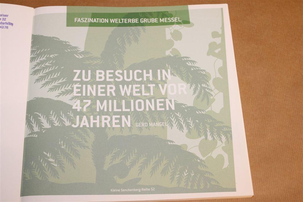 Welterbe Grube Messel — Fossielen 47 Miljoen Jaar, UNESCO, Boeken, Ophalen of Verzenden, Zo goed als nieuw, Europa