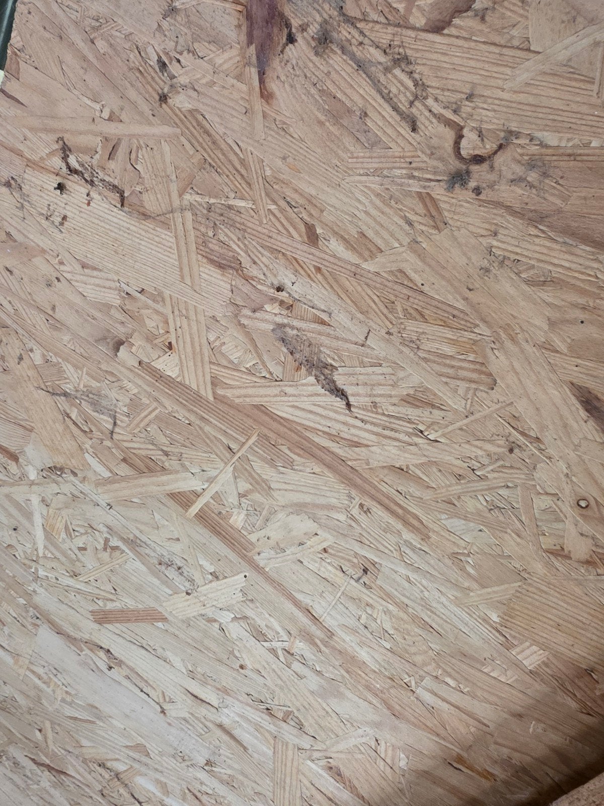 Osb  plaat 22 mm dik x 2440x1220, Ophalen, Gebruikt, Hout, 20 tot 50 mm