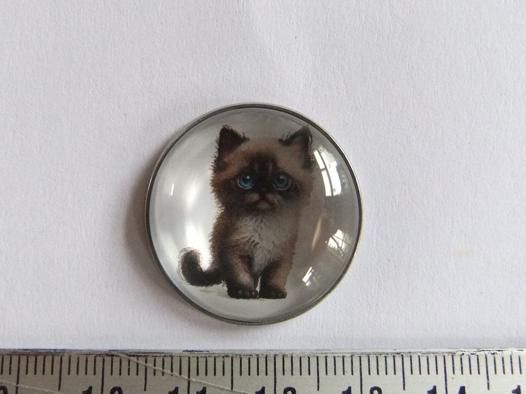 Leuke pin/speldje met schattige ras kitten blauwe ogen, Verzenden, Nieuw, Dier of Natuur, Speldje of Pin