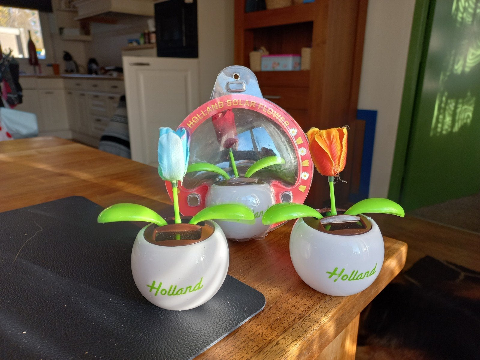 20x Op Zonlicht Bewegende Tulp - Holland Decoratie, Meerkleurig, Overige stijlen, Nieuw, Kunststof