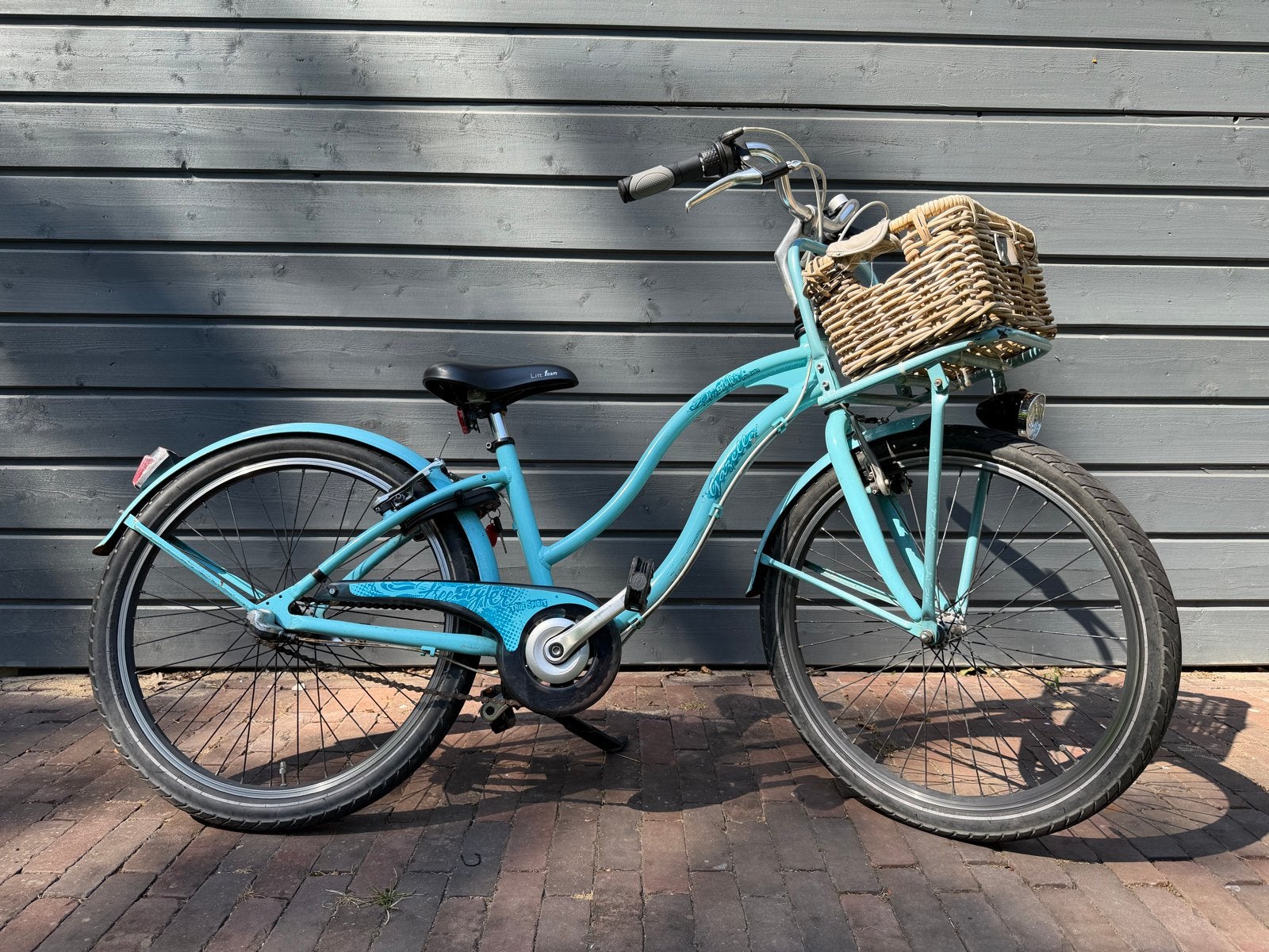 Gazelle True Spirit Freestyler 24 inch meisjesfiets, Ophalen, Gebruikt, Terugtraprem, 20 inch of meer