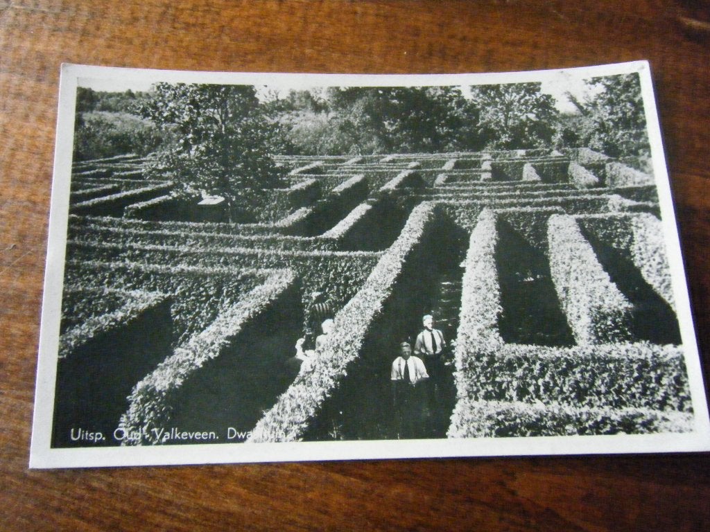 T29 - Oud Valkeveen - Doolhof - 1949 - Mooi/Oud, Ophalen of Verzenden, 1940 tot 1960, Zuid-Holland