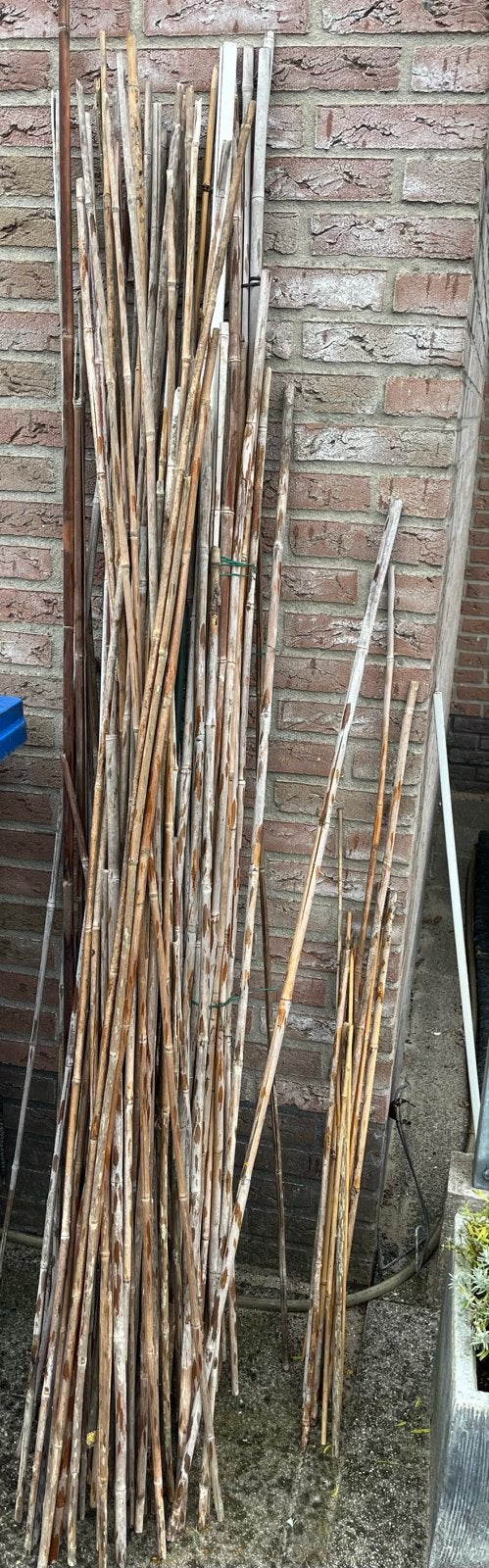 Bamboe stokken in diverse lengtes, Ophalen, Gebruikt