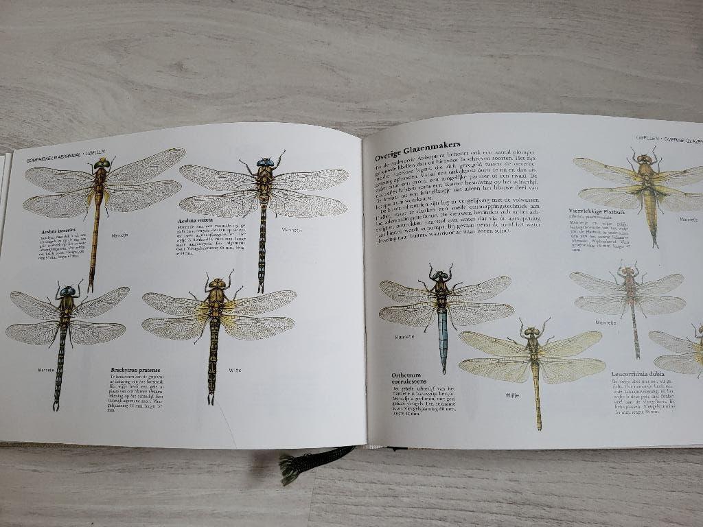 Vlinders en andere Insecten + Paddestoelen, Verzenden, Zo goed als nieuw